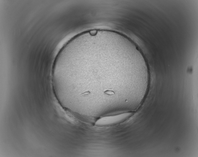 X0000112151240200909041055