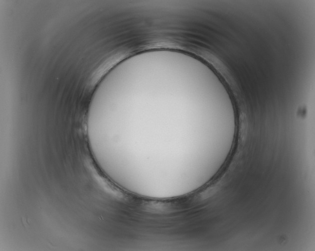 X0000112151241200909041055