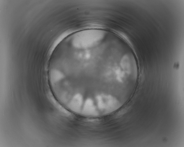 X0000112151243200909041056