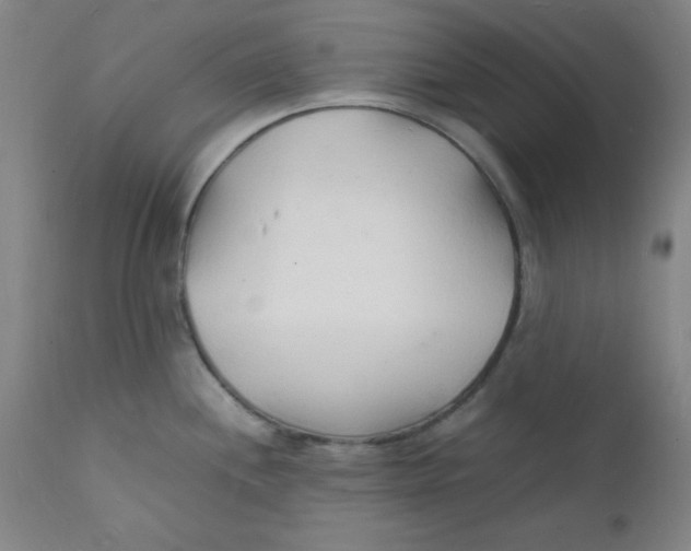 X0000112151244200909041056