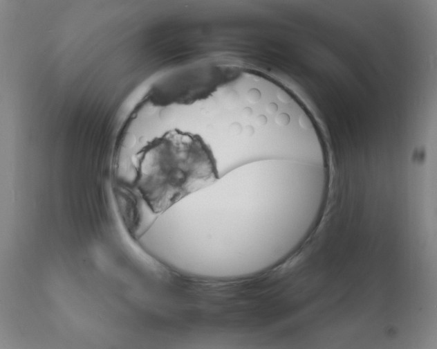 X0000112151245200909041056