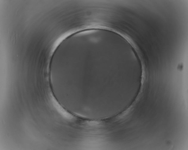 X0000112151246200909041056