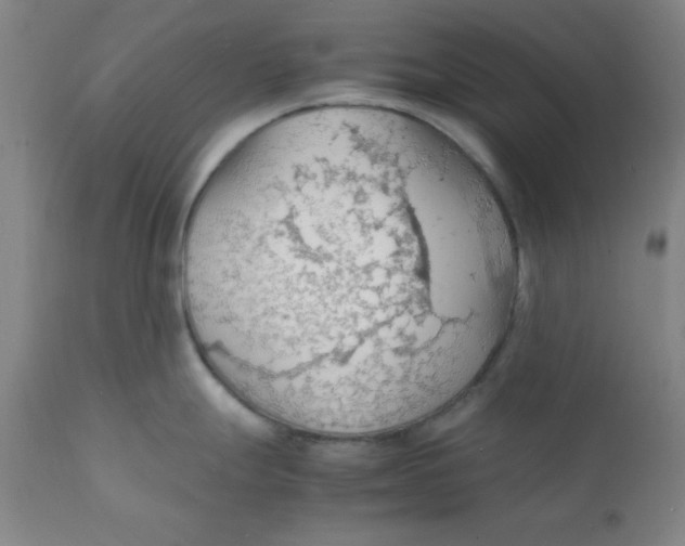 X0000112151247200909041056