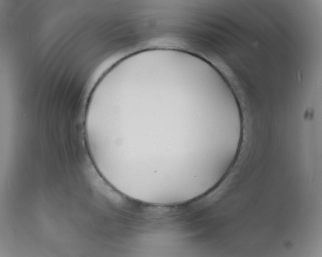 X0000112151248200909041056