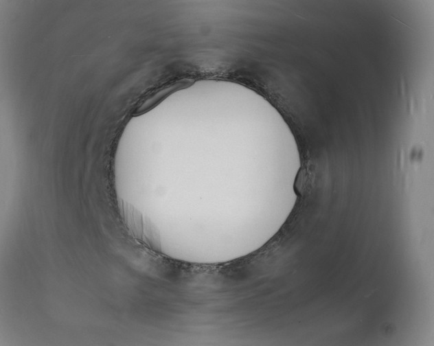 X0000112151249200909041055