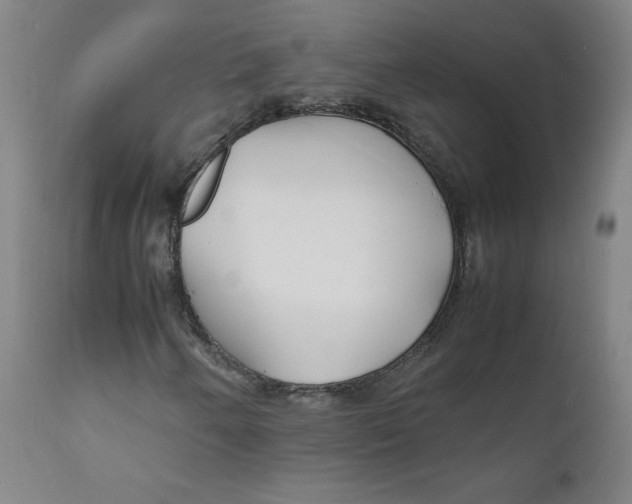 X0000112151250200909041055