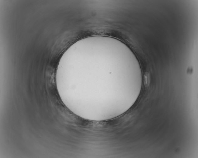 X0000112151251200909041055