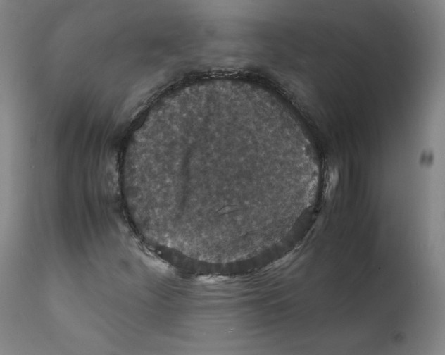 X0000112151252200909041055