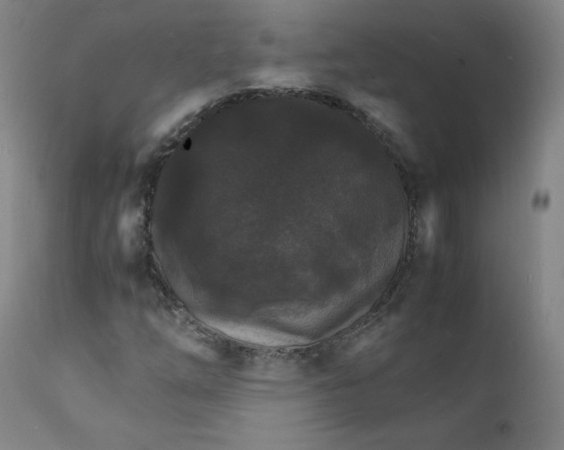 X0000112151254200909041055