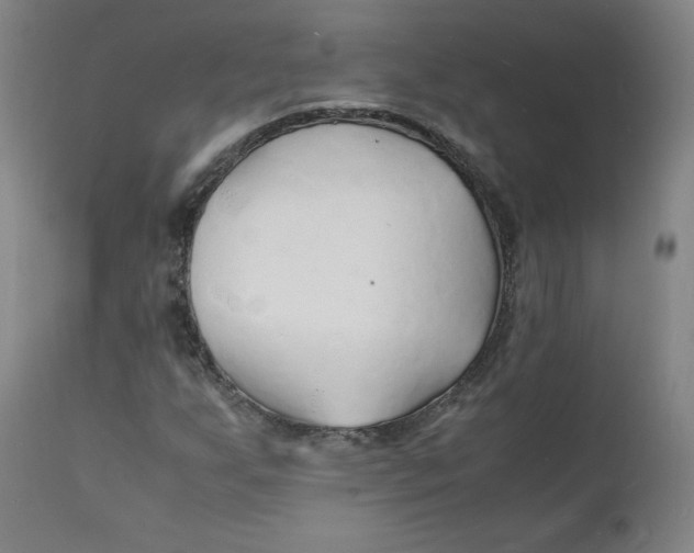 X0000112151255200909041055