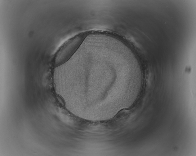 X0000112151256200909041055