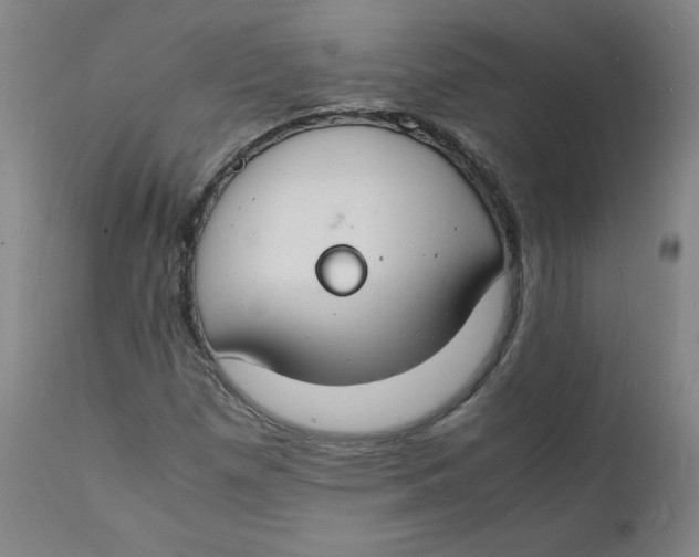 X0000112151257200909041055