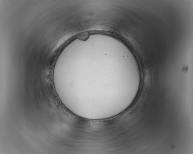 X0000112151258200909041055