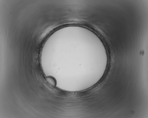 X0000112151259200909041055