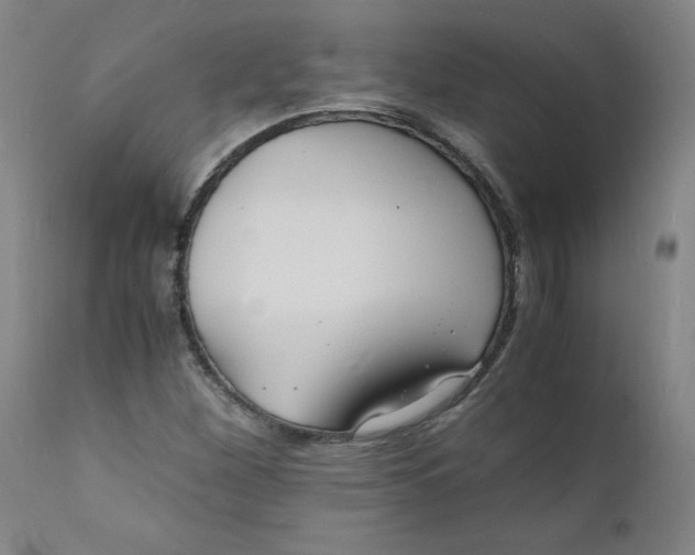 X0000112151260200909041055