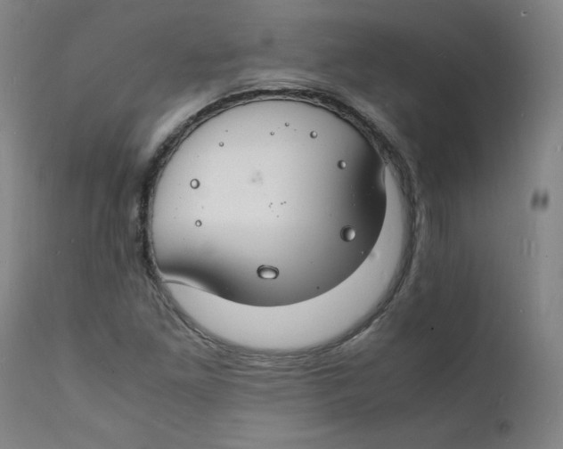 X0000112151261200909041055