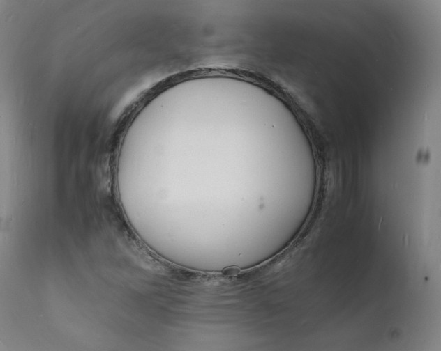 X0000112151262200909041055