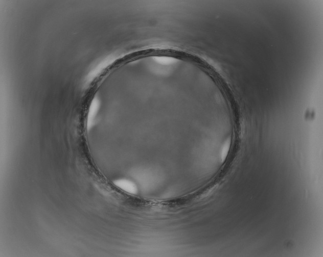 X0000112151263200909041055