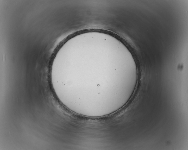 X0000112151264200909041055