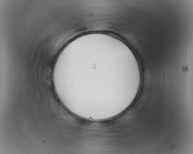 X0000112151265200909041055