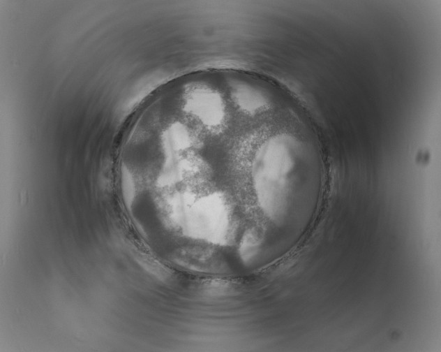 X0000112151266200909041055