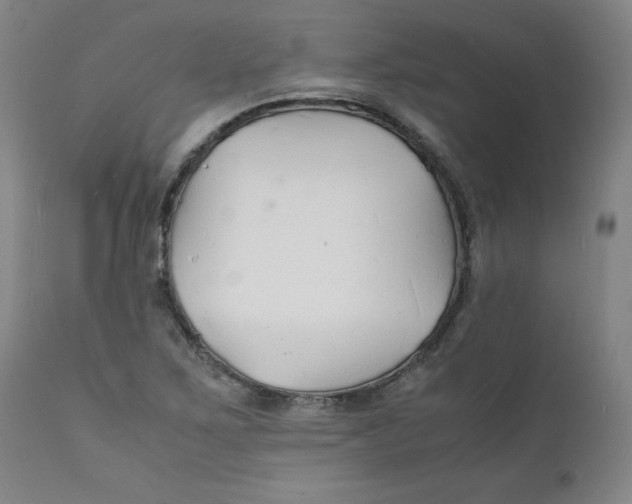 X0000112151267200909041055