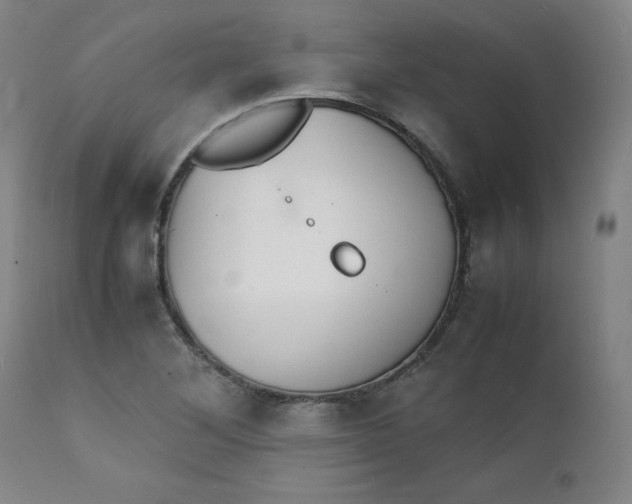 X0000112151268200909041055