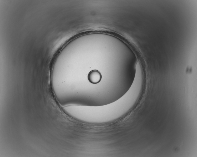 X0000112151269200909041055