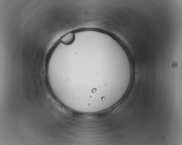 X0000112151270200909041055