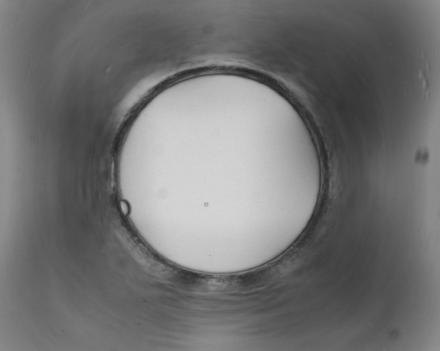 X0000112151271200909041055