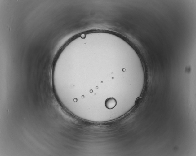 X0000112151272200909041055