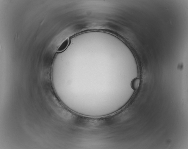 X0000112151273200909041055