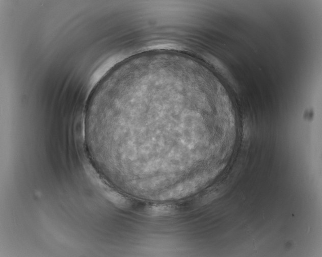 X0000112151274200909041055