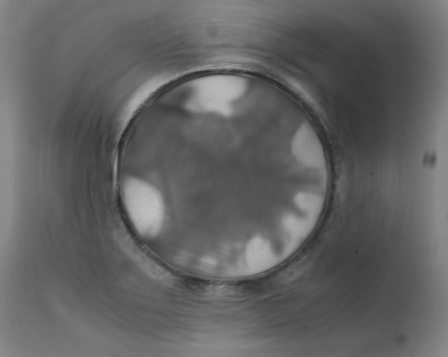 X0000112151275200909041055