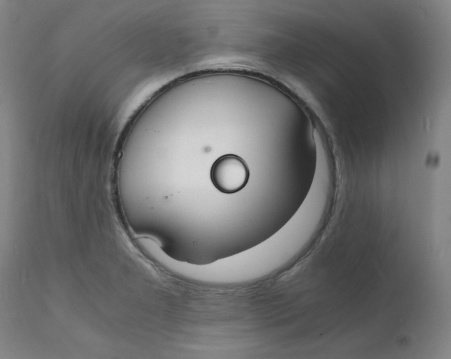 X0000112151277200909041055