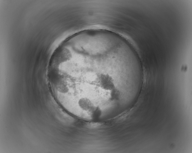 X0000112151278200909041055