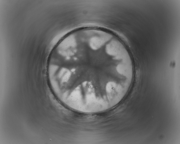 X0000112151279200909041055