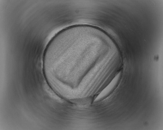 X0000112151280200909041054