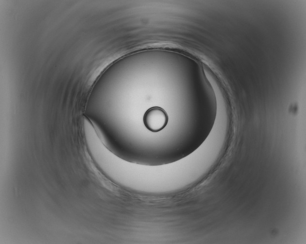 X0000112151281200909041054