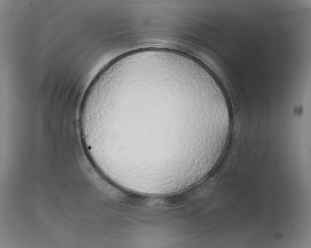 X0000112151283200909041054