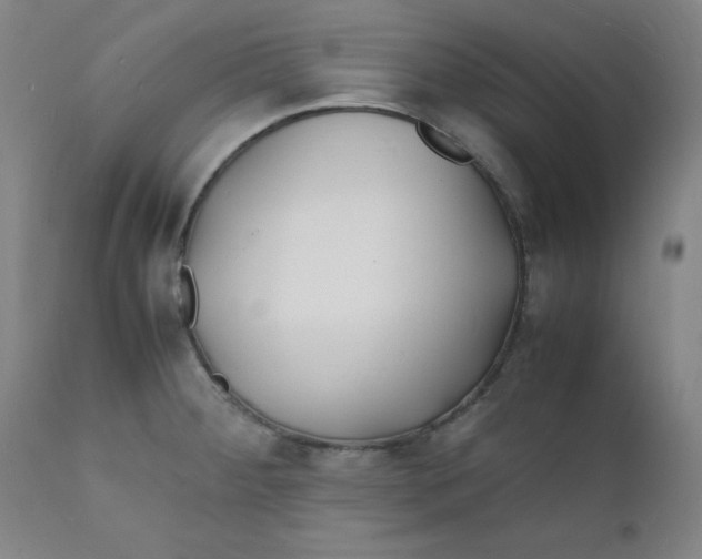 X0000112151284200909041054