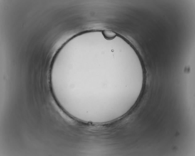 X0000112151285200909041054