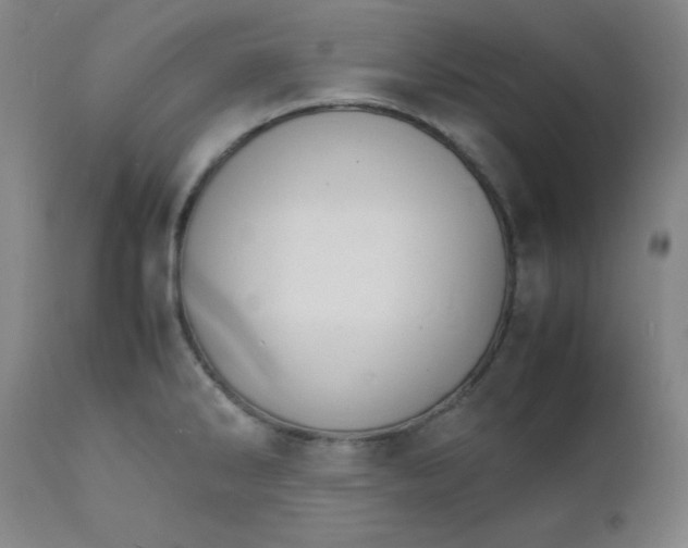 X0000112151286200909041054