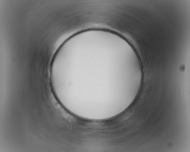 X0000112151287200909041054