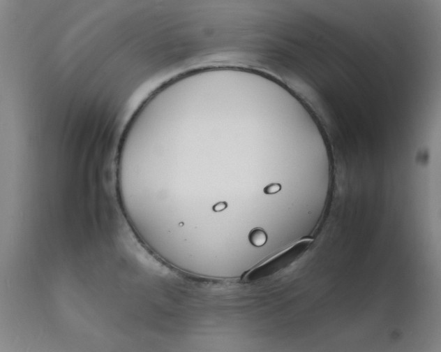 X0000112151288200909041054