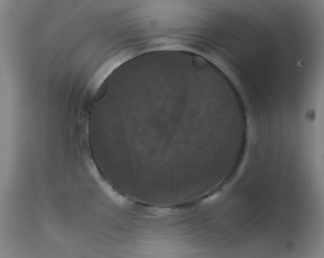 X0000112151289200909041054