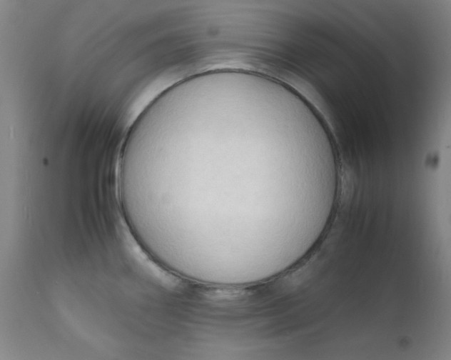 X0000112151290200909041054