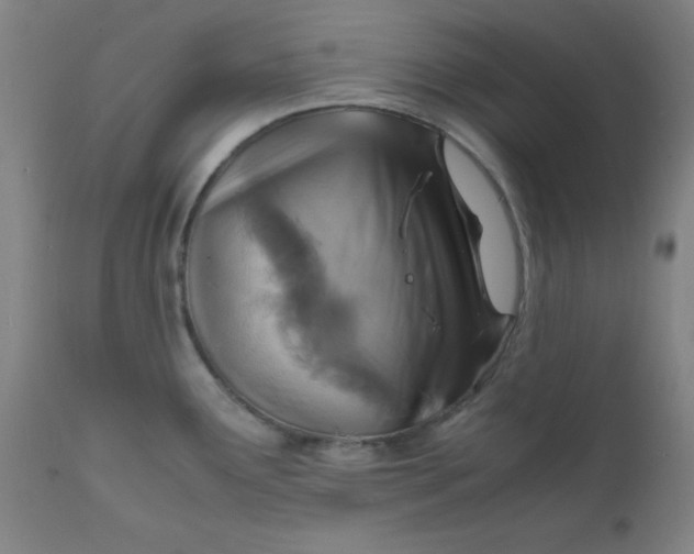 X0000112151291200909041054