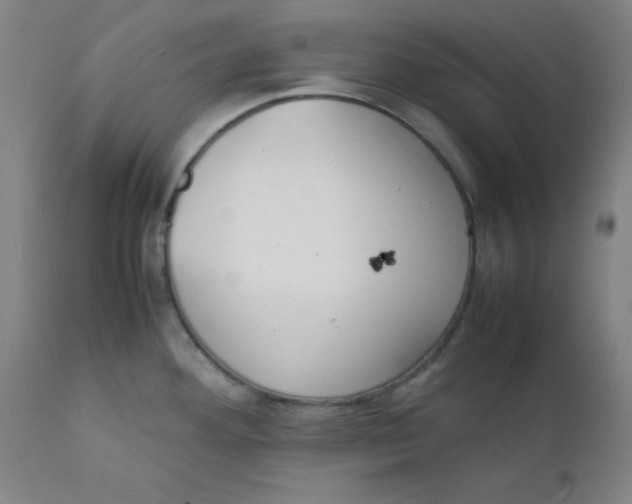 X0000112151292200909041054