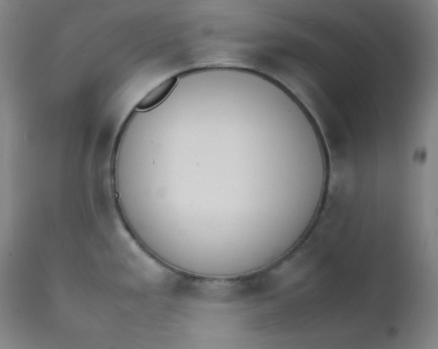 X0000112151293200909041054